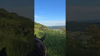 SÍTIO PANORÂMICO ALTO DA COLINA 17,7 HECTARES PRÓXIMO AO SANTUÁRIO R$ 4,4 MILHÕES - Código: 2625