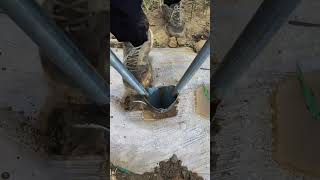 🌱 Smart Planting With a Manual Post Hole Digger | Country Work 🇮🇳🌾 #shorts