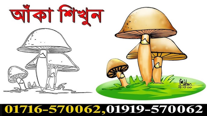 Rus pornosi: katta nipellar