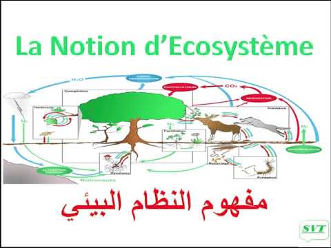 مفهوم النظام البيئي شرح مبسط بالعربية والفرنسية    