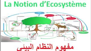 مفهوم النظام البيئي شرح مبسط بالعربية والفرنسية /la notion décosystème