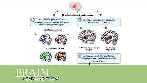Neuroanatomical correlates of speech and singing production in chronic post-stroke aphasia