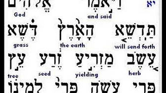 beginners hebrew beginners hebrew