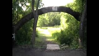 Sick disc golf ace