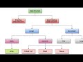 Classification of Data Structures | Linear & Non-Linear DS Explained | JNTU R25 DS Unit-1 Telugu