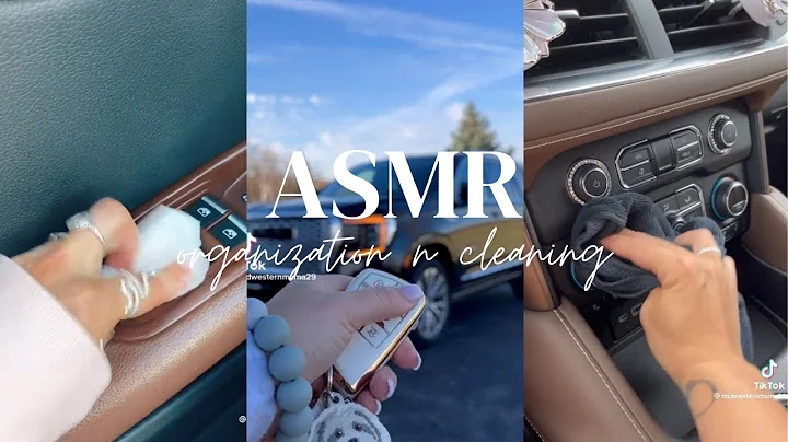 [ASMR TikTok Compilation] Car Cleaning and Organizing