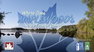 Where Does Maplewood's Water Come From