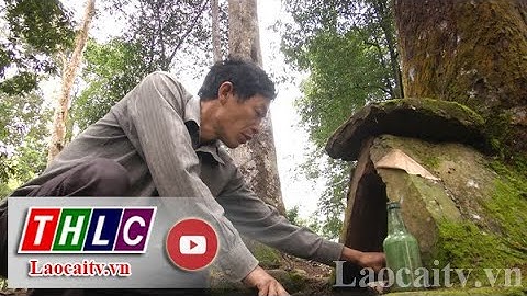 Lễ cúng rừng: Nét đẹp cần phát huy trong bảo vệ và phát triển rừng | THLC
