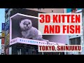 3D Kitten and Fish in Shinjuku (Tokyo, Japan) / 新宿の子猫 /