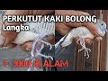 PERKUTUT BERKAKI BOLONG - cacat dari alam