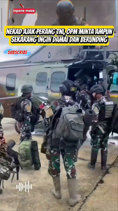 OPM Surrenders, Requests Negotiations with the TNI and the Government‼️#opm #papua #tni #tnidihat...