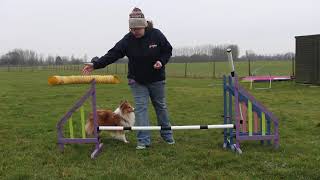 A-Z Agility: Jump Terminology