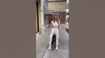 Put the work in ️‍🔥 ️‍🔥 #dogs #dogtraining #doberman #dogtrainer  #dobermans