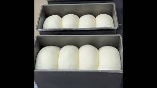 Hotel Bread | How to use frozen dough