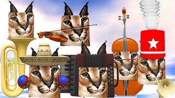 FIND the FLOPPA MORPHS *How to get ALL 6 NEW Floppa Morphs and Badges* MUSIC MAP! Roblox