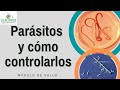 Parásitos y  cómo controlarlos