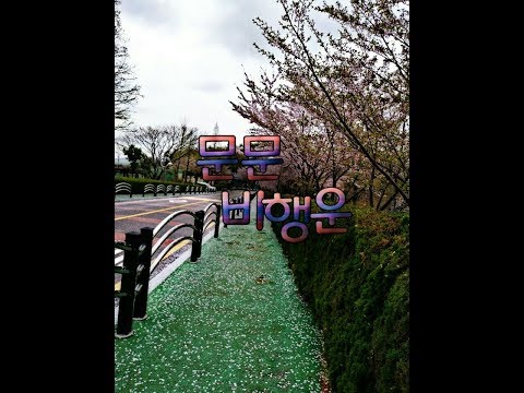 [뮤비] 문문 - 비행운🌙 / 재미로 찍은 영상 / 첫 영상 / 노잼🍯 [ Dream M/V ]