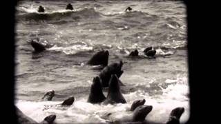 ALASKAN ADVENTURE 1950'S