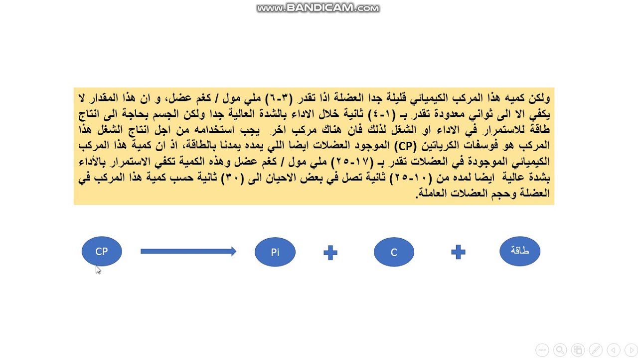 مادة الفسلجة الرياضية (لطلبة الصف الثالث) كلية التربية البدنية الفصل الثامن انظمة الطاقة الجزء الاول