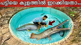 💥അരപൈമ നമ്മുടെ പട്ടിയെ തിന്നാൻ നോക്കി!! | Gaint Arapaima attacked our Dog