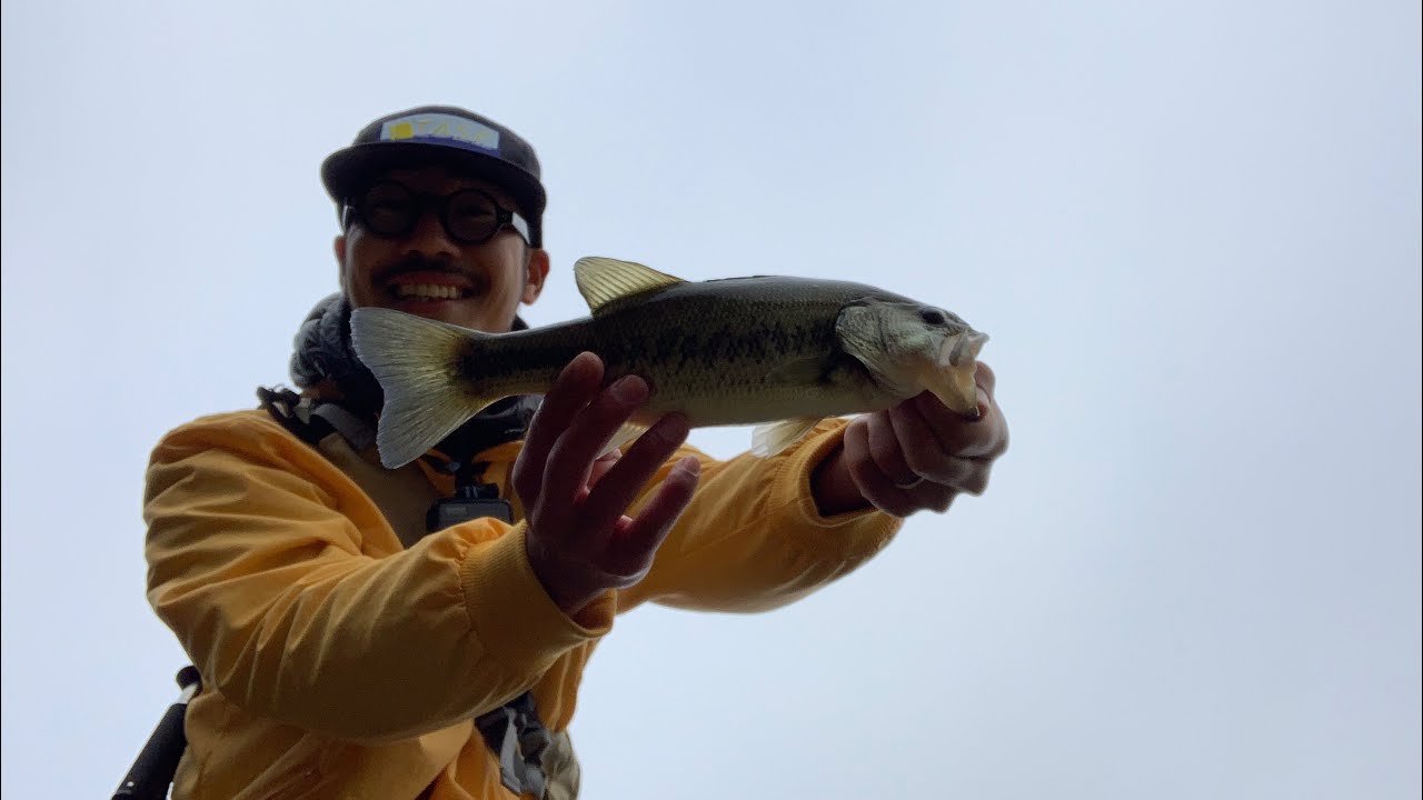 閉店 大野ダム 京都府 にレンタルボート店はありません おかっぱりは可能です バス釣り 釣りウマを目指して