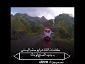 يوسف أشيب