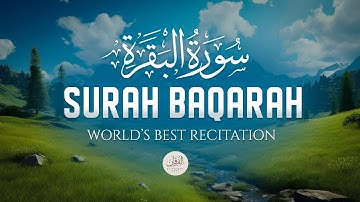 Surah Baqarah Full سورة البقره | Ultimate Relaxing Most Beautiful Heart Calming Quran | AlFurqanLofi