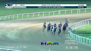 Vidéo de la course PMU PREMIO CITY GLAM 2014