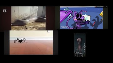 All screamers at once add round,4 v2