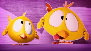 Where's Chicky? 🤣 FUNNY FACE | Chicky Cartoon in English for Kids