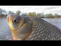 Гремучая смесь для активации клева Драка на воде Рыбалка весной на карася. My fishing
