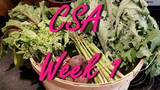 CSA Week 1 Haul