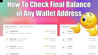 How To Check Final Balance of Any Wallet Address of Stacks ( STX ) screenshot 2
