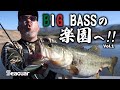 メキシコ レイクバカラック Vol.1 田辺哲男×吉田遊×平岩孝典　2024シーガープレミアムチャンネル