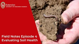 Field Notes Episode 4: Evaluating Soil Health