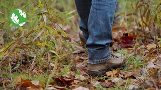 Nature Access and Outdoor Recreation: Inside TNC’s Cumberland Forest Project