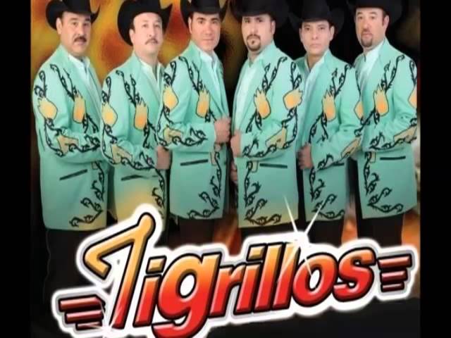 Watch tigrillos - upudu on YouTube Watch tigrillos - upudu on YouTube