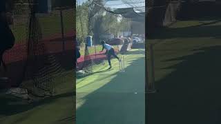 #cricket #california #ytshorts #usa #nets #poway