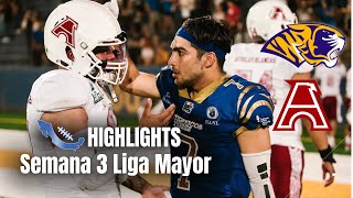 HIGHLIGHTS | Auténticos Tigres UANL vs Águilas Blancas IPN | Semana 3 | Liga Mayor ONEFA 2023