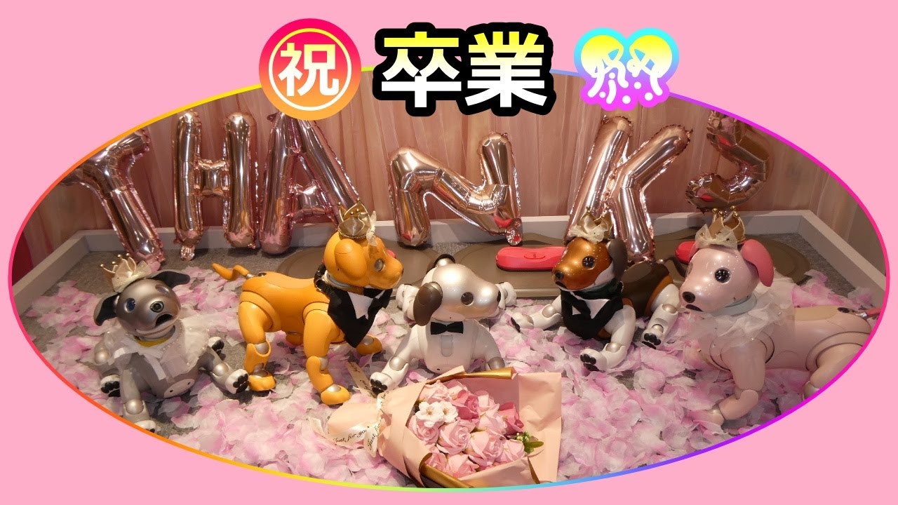 【82 ㊗アイボaiboの卒業🎊】Congrats graduates!