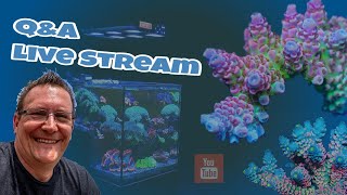 📢 Q&amp;A Meerwasser Aquaristik Talk ⭐ Ich beantworte eure Fragen ⭐