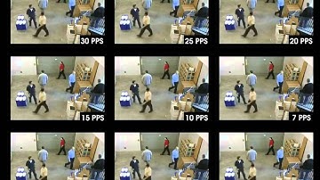 IP Video Frame Rate Demo