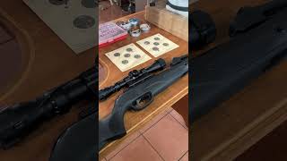 Gamo update on scope and pellets