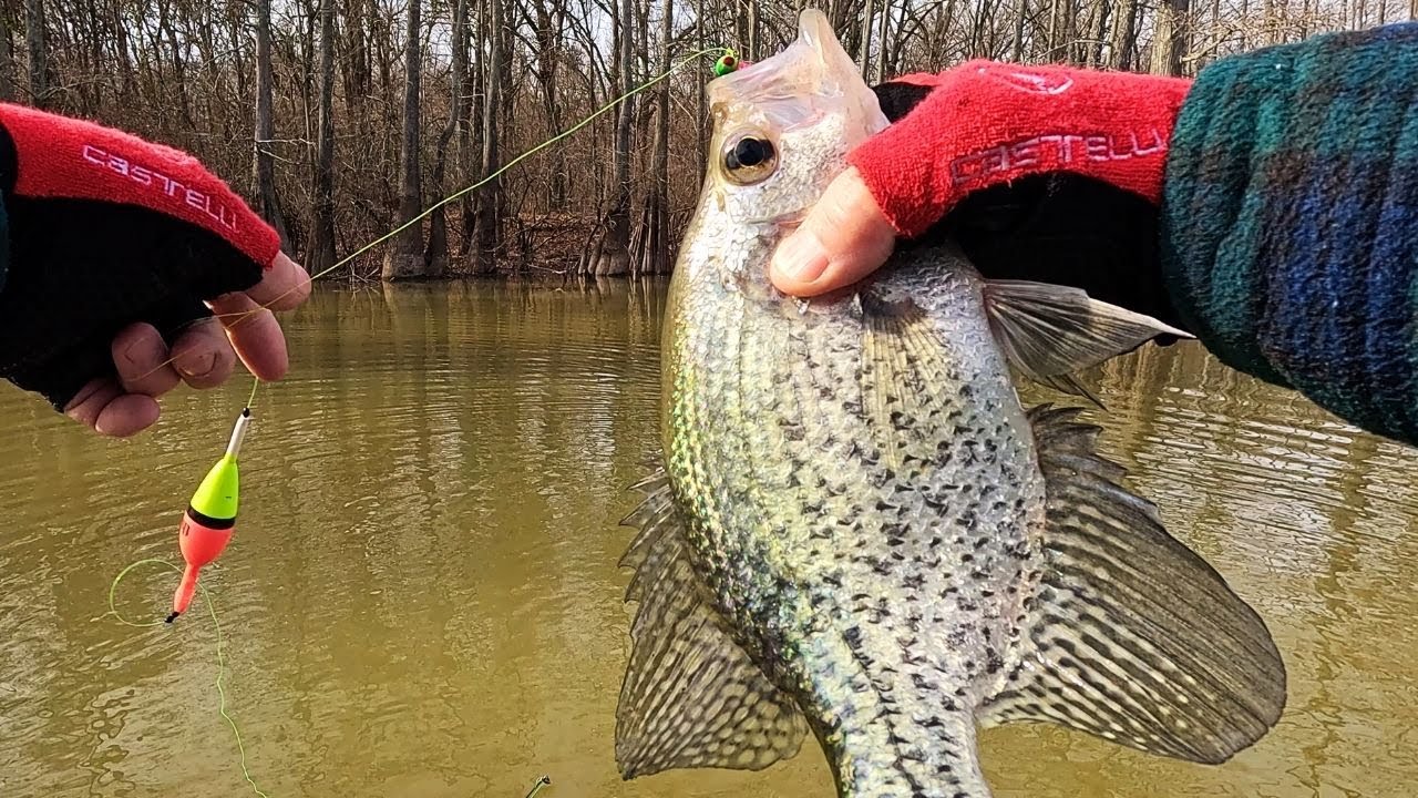 Winter Crappie Fishing | in the middle of January !