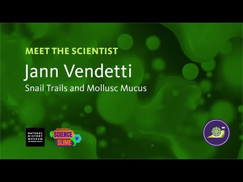 Meet the Scientist: Dr. Jann Vendetti, Malacology