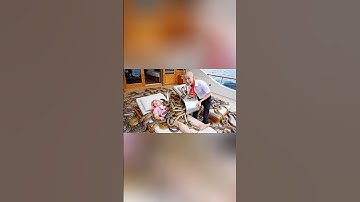 Hùng trọc đổ rắn troll capybara và cái kết #capybara #shorts