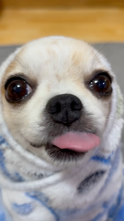 Sugar On My Tongue #yodajjeom