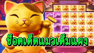 กูว่าแล้วมันต้องโดน เฮียริช สวิตเซอร์แลนด์ ➤ แมวมาเต็มแผง !!