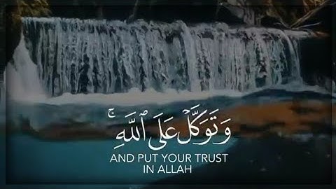 القرآن الكريم بصوت الشيخ ماهر المعيقلي - حالات واتس اب إسلامية