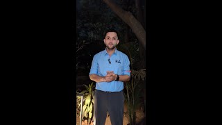 Bat Names And Burgers - Grace Harris Quirky Tradition Continues